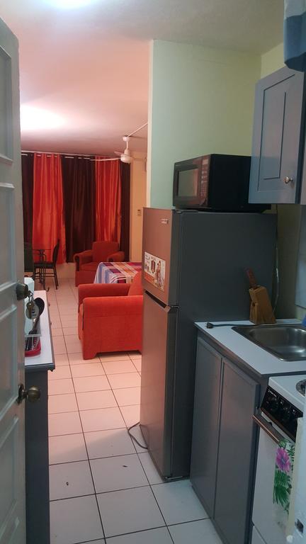 Comfortable Suite 1 Κίνγκστον Εξωτερικό φωτογραφία