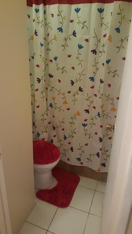 Comfortable Suite 1 Κίνγκστον Εξωτερικό φωτογραφία